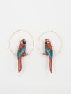 Red parrot hoops