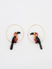 Green & red parrot small hoops